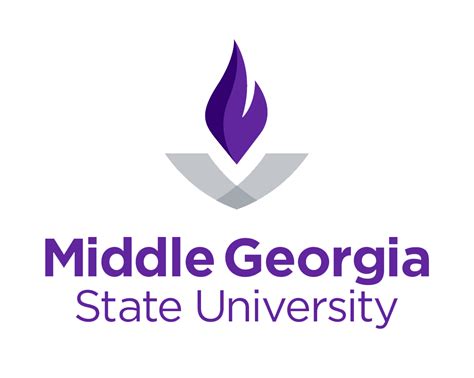 middle georgia state university online